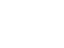 顽皮Wanpy
